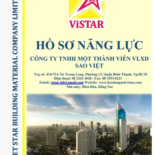 Hồ sơ năng lực công ty Sao Việt